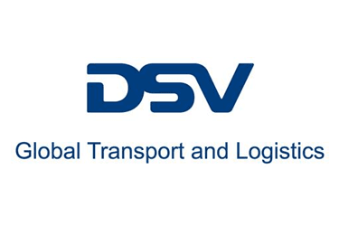 DSV logo